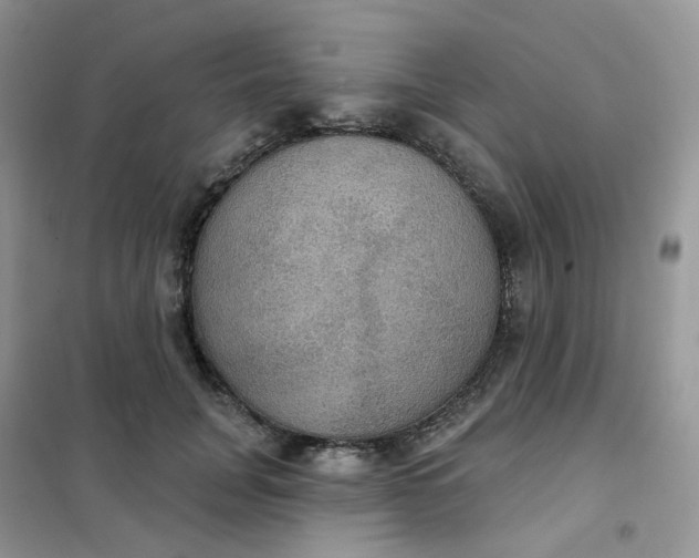 X0000102040751200808011510