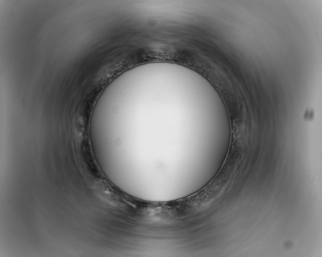 X0000102040752200808011510