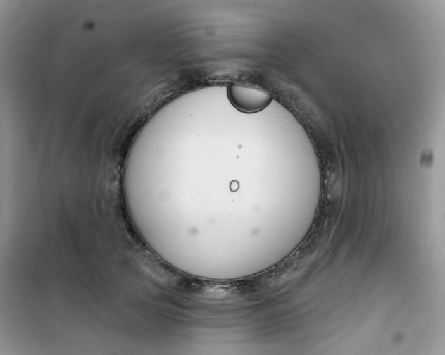 X0000102040753200808011510