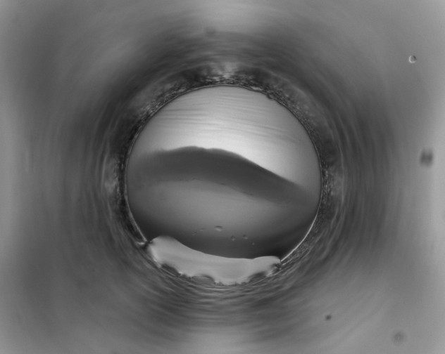 X0000102040754200808011510