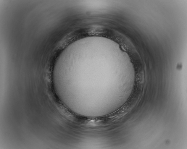 X0000102040755200808011510