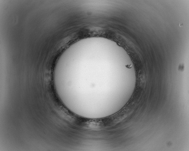 X0000102040756200808011510