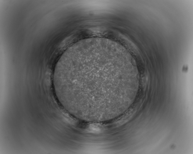 X0000102040757200808011510