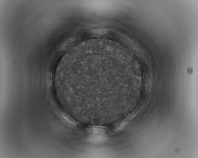 X0000102040758200808011510