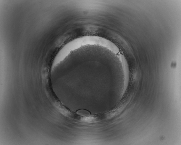 X0000102040759200808011510