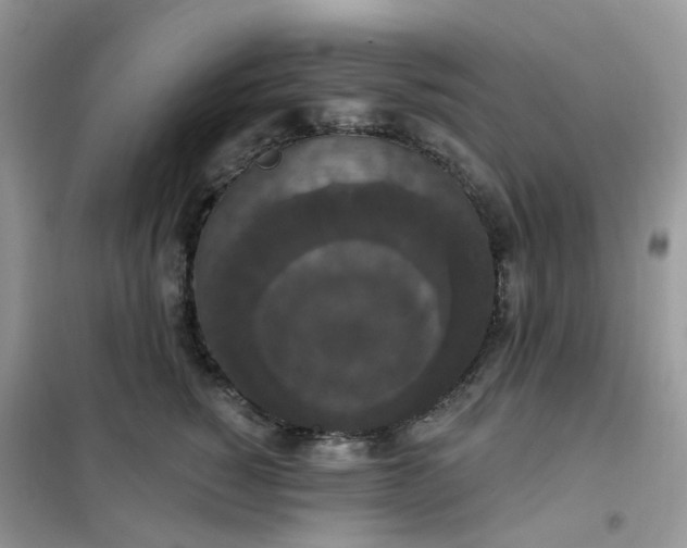 X0000102040760200808011510