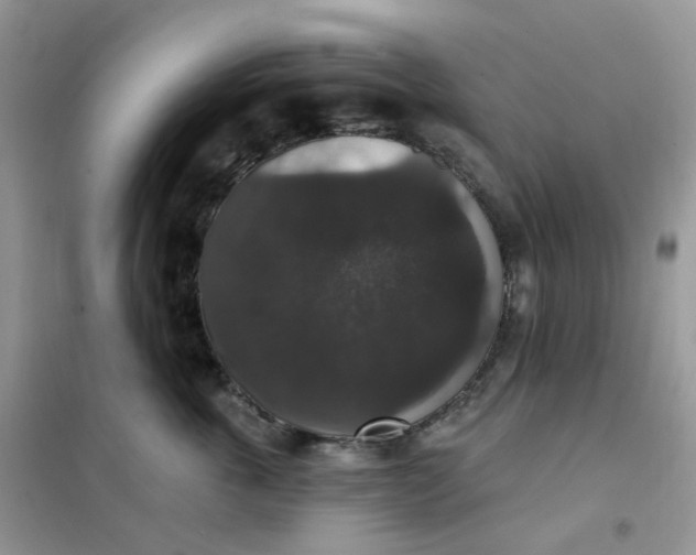 X0000102040763200808011510