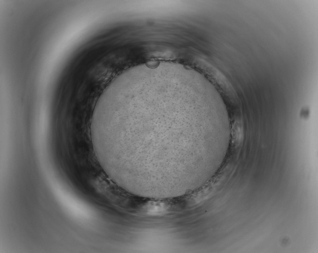 X0000102040764200808011510