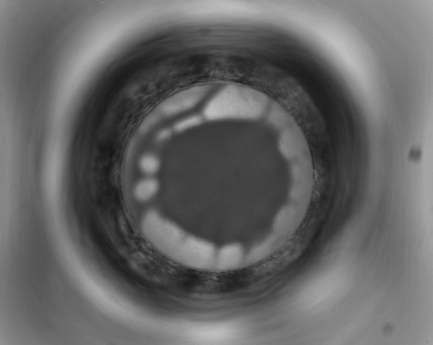 X0000102040765200808011510