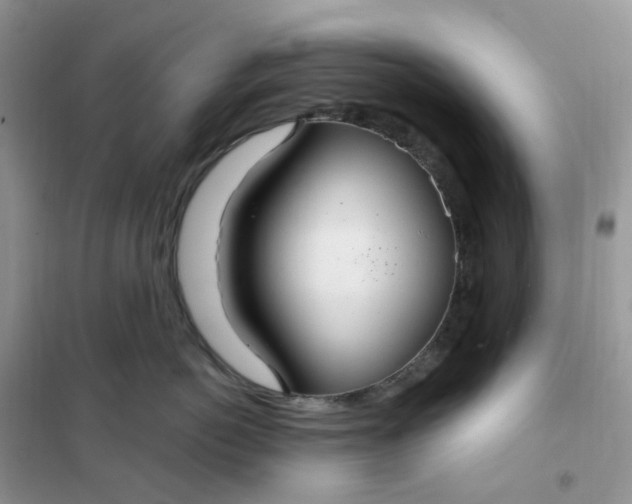 X0000102040766200808011510