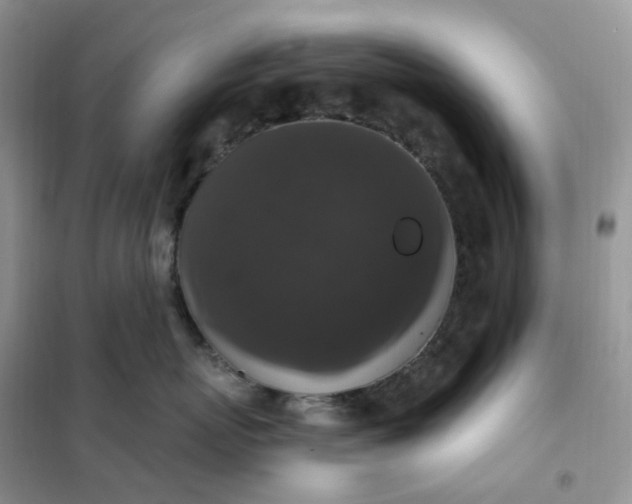 X0000102040767200808011510