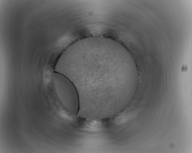 X0000102040768200808011510