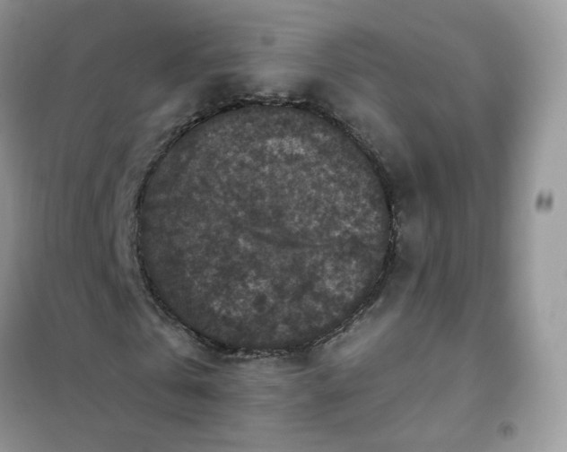 X0000102040769200808011509