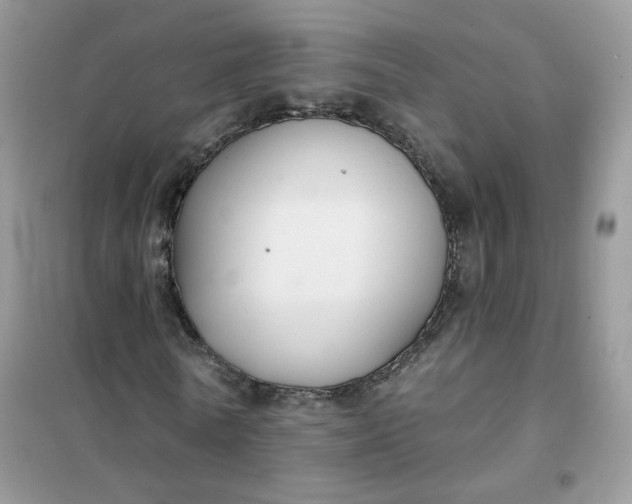 X0000102040770200808011509