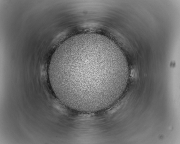 X0000102040771200808011509