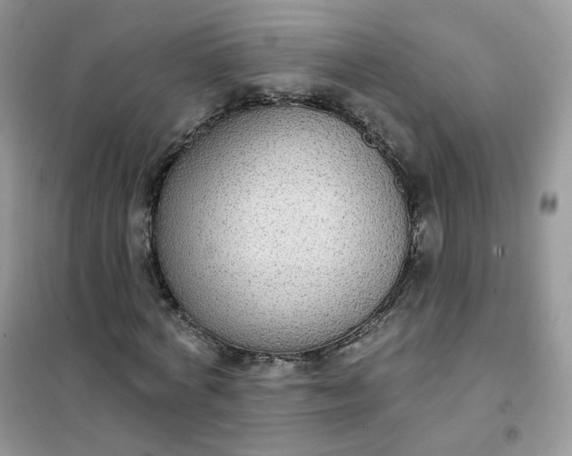 X0000102040772200808011509