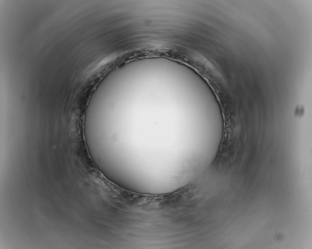 X0000102040773200808011509