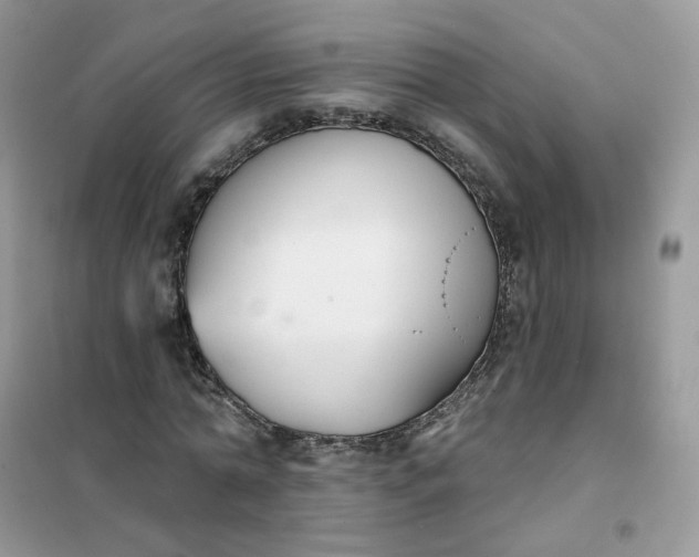 X0000102040774200808011509