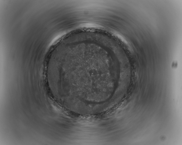 X0000102040775200808011509