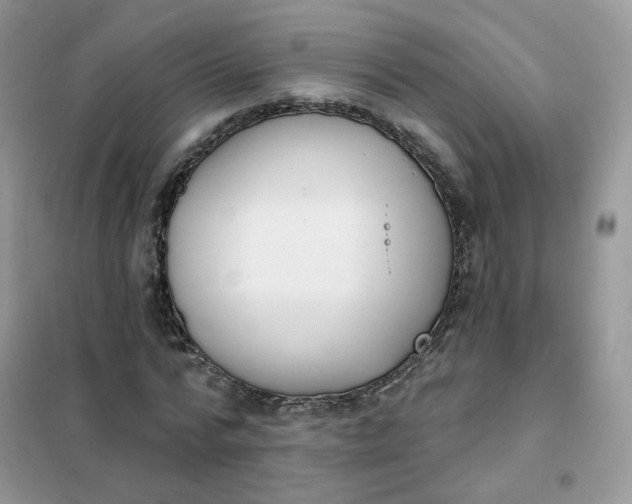 X0000102040776200808011509