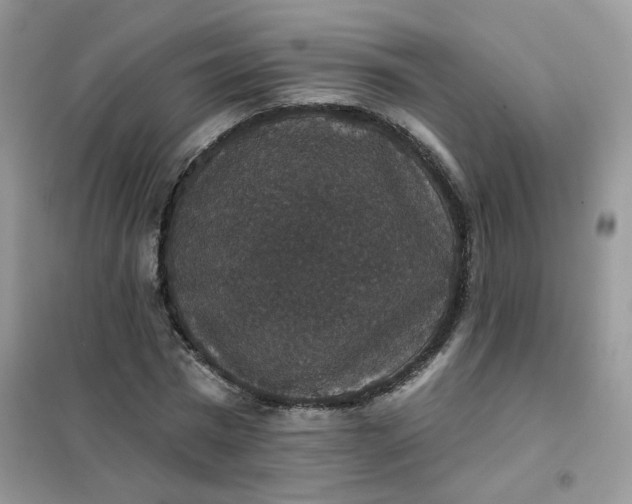 X0000102040777200808011509