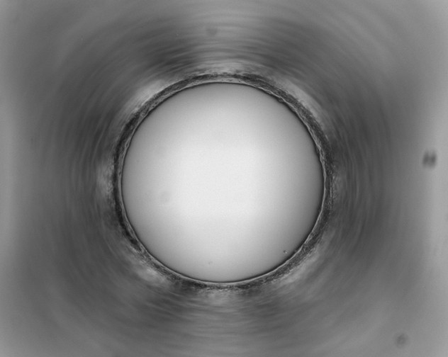 X0000102040778200808011509