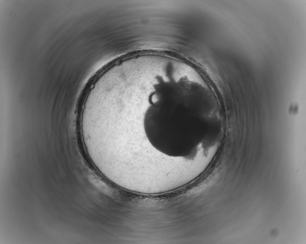 X0000102040779200808011509