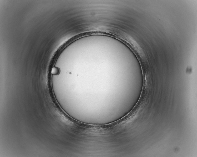 X0000102040780200808011509