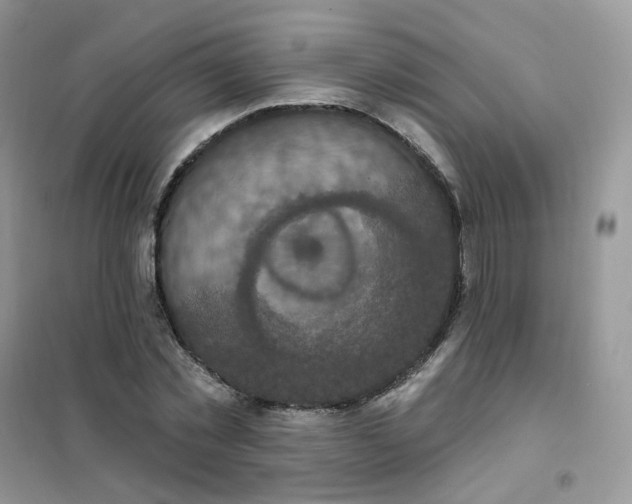 X0000102040781200808011509