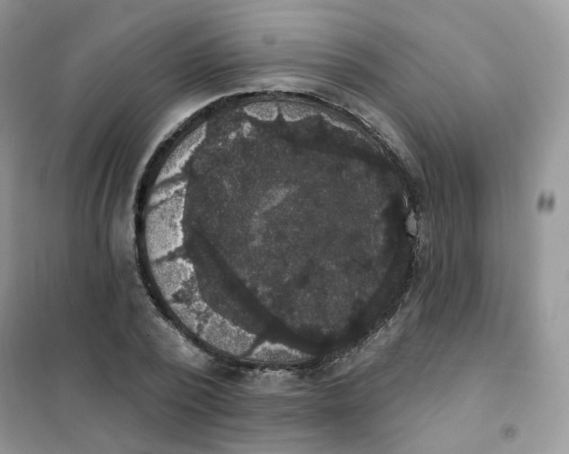 X0000102040784200808011509