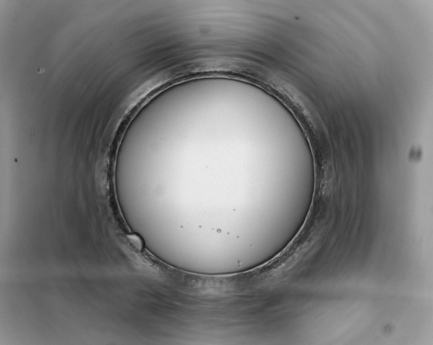 X0000102040786200808011509