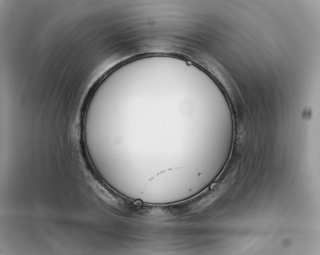 X0000102040787200808011509