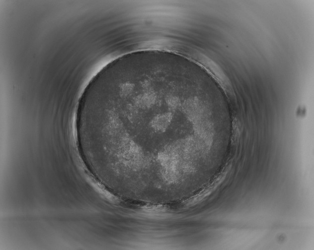 X0000102040788200808011509