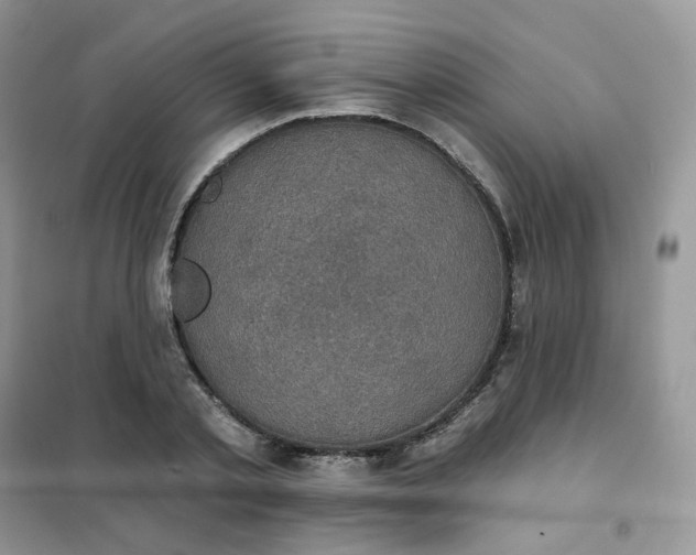 X0000102040789200808011509