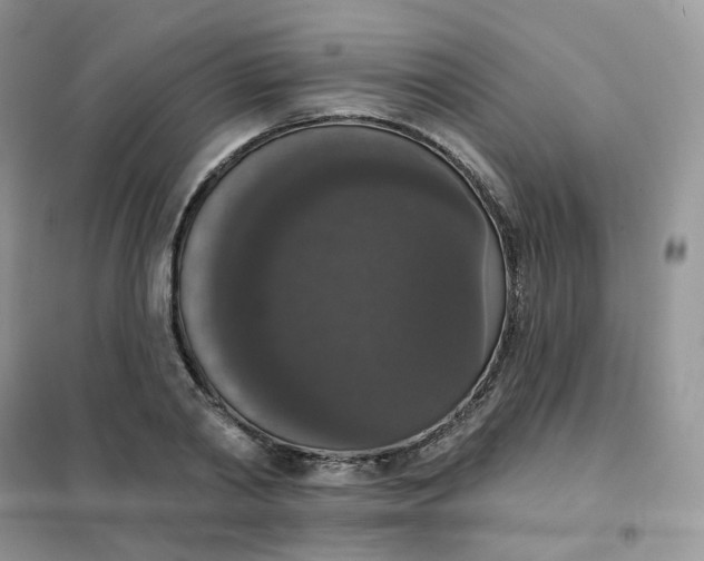 X0000102040790200808011509