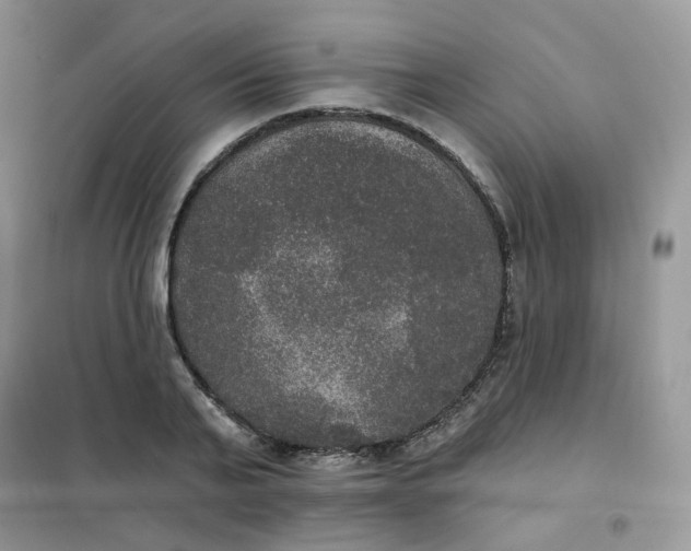 X0000102040791200808011509