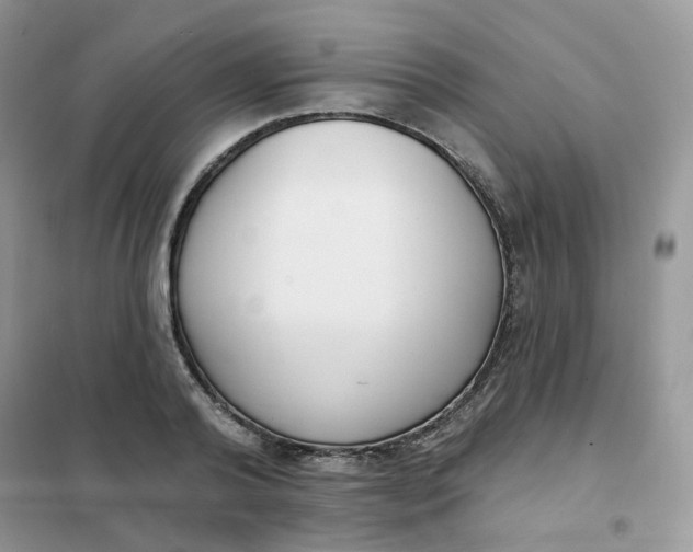 X0000102040792200808011509