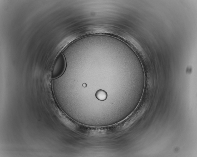 X0000102040793200808011509