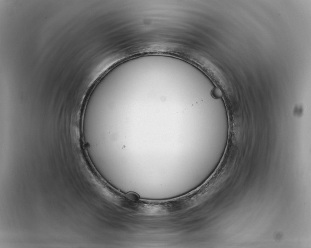 X0000102040794200808011509