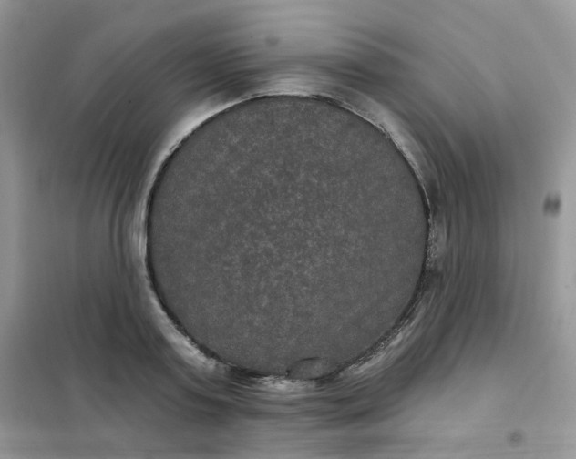 X0000102040795200808011509