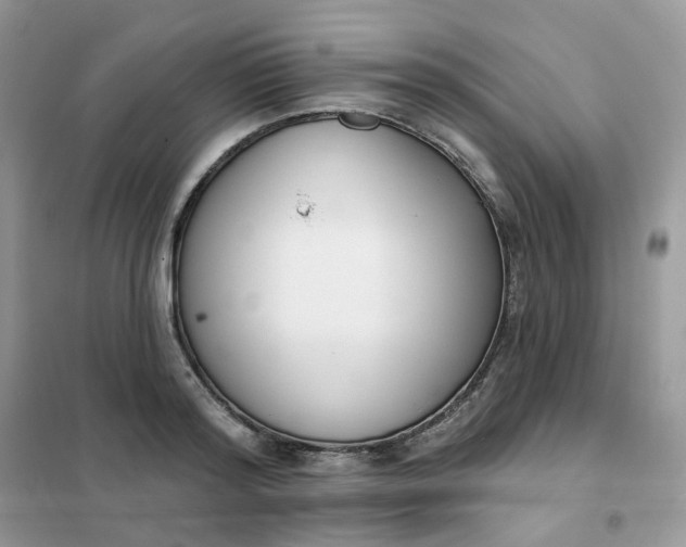 X0000102040796200808011509