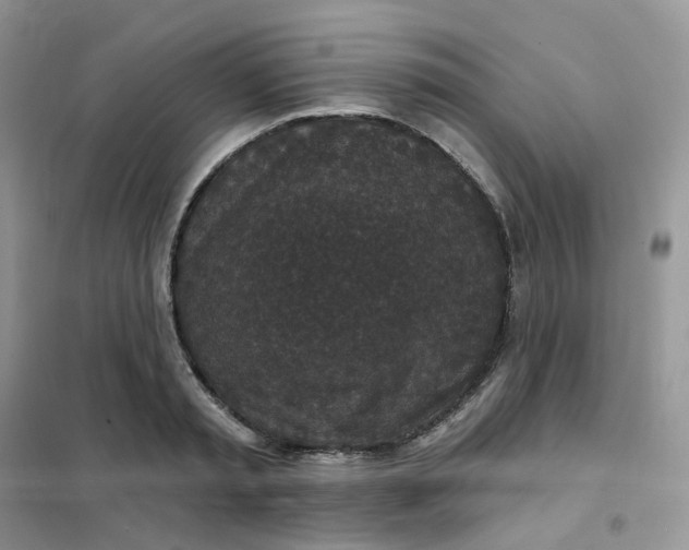 X0000102040797200808011509