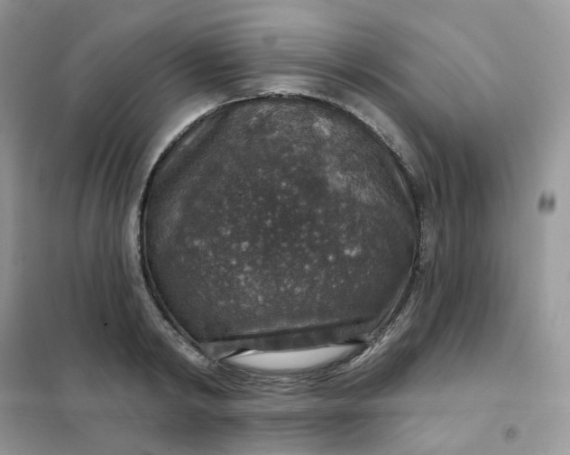 X0000102040798200808011509