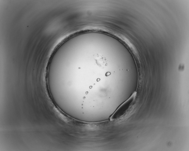 X0000102040799200808011509