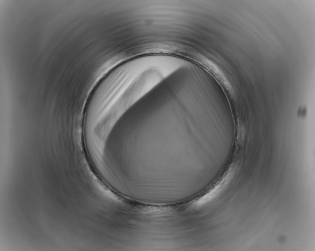 X0000102040802200808011509