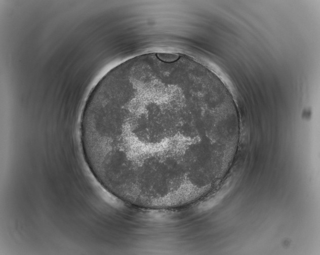 X0000102040803200808011509