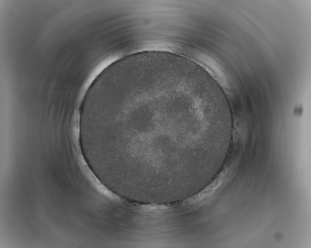 X0000102040804200808011509