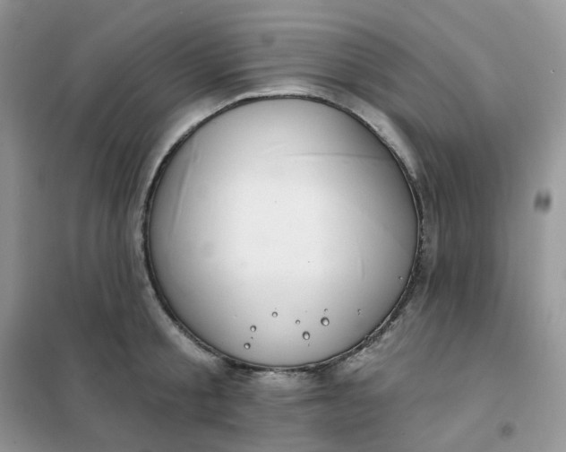 X0000102040805200808011509