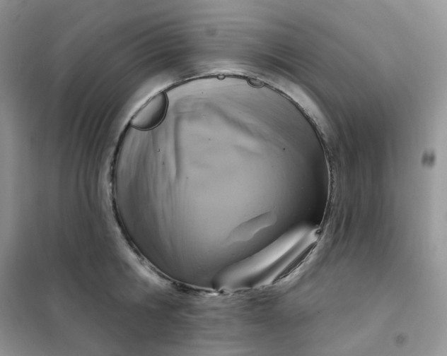 X0000102040806200808011509