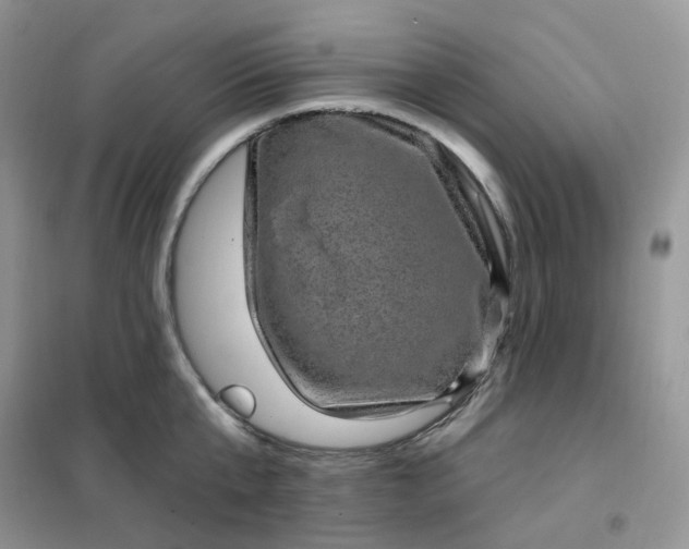 X0000102040807200808011509